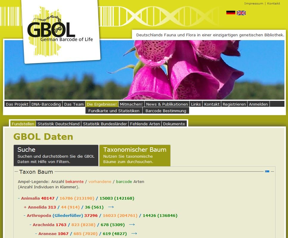 Die Barcode Bibliothek von GBOL Screenshot der GBOL-Webseite