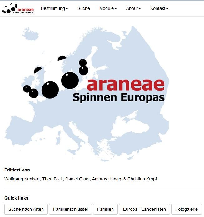 Screenshot of araneae Website