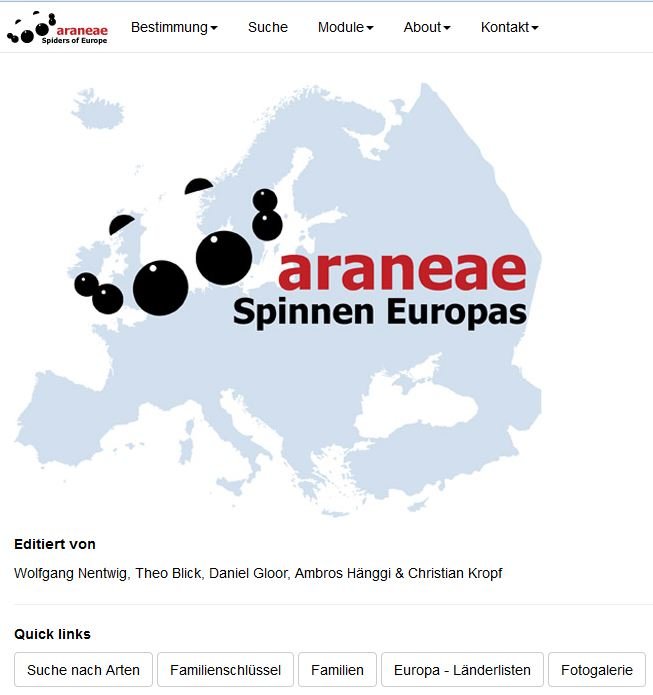 Online-Bestimmungswerk araneae Screenshot der araneae Webseiten